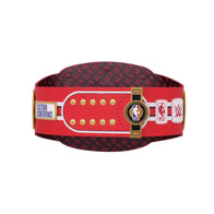 WWE Chicago Bulls NBA Legacy Championship Title Belt - 4 | Dash Racegear