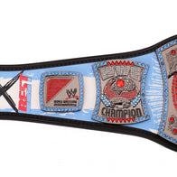 WWE CM Punk 434-Day Record Signature Series Championship Belt - 6 | Dash Racegear