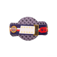 WWE Columbus Blue Jackets NHL Legacy Championship Belt - 4 | Dash Racegear