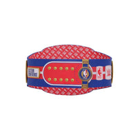 WWE Detroit Pistons NBA Legacy Championship Title Belt - 4 | Dash Racegear