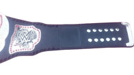 WWE Women's Divas Wrestling Championship Title Belt - 3 | Dash Racegear