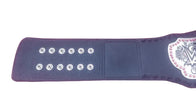 WWE Women's Divas Wrestling Championship Title Belt - 4 | Dash Racegear