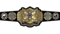 WWE Evolve Championship Title Belt - 1 | Dash Racegear
