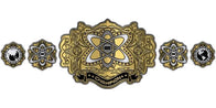 WWE Evolve Championship Title Belt - 2 | Dash Racegear