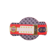 WWE Florida Panthers NHL Legacy Championship Title Belt - 4 | Dash Racegear