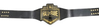 WWE Hall Of Fame Championship Inspired Title Belt Adult Size - 2 | Dash Racegear