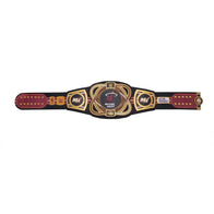 WWE Miami Heat NBA Legacy Championship Title Belt - 5 | Dash Racegear