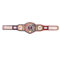 WWE Minnesota Twins MLB Legacy Championship Title Belt - 4 | Dash Racegear