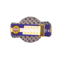 WWE Tampa Bay Lightning NHL Legacy Championship Title Belt - 5 | Dash Racegear