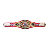 WWE Washington Wizards NBA Legacy Championship Title Belt - 5 | Dash Racegear