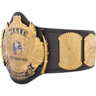 WWE Winged Eagle Championship Inspired Title Belt - 2 | Dash Racegear
