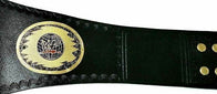 WWE Women's Wrestling Heavyweight Championship Belt - 4 | Dash Racegear