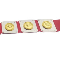 WWWF North American title Heavyweight Wrestling Champion Belt - 4 | Dash Racegear