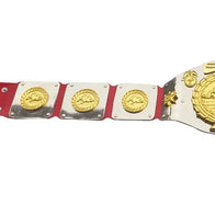 WWWF North American title Heavyweight Wrestling Champion Belt - 3 | Dash Racegear