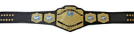 WWF Lightweight Wrestling Championship Title Belt Inspired - 5 | Dash Racegear