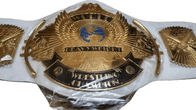WWF Winged Eagle Heavyweight Wrestling Championship Belt - 1 | Dash Racegear