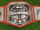 Georgia Bulldog National Customized Championship Title Belt red and gold collector display belt