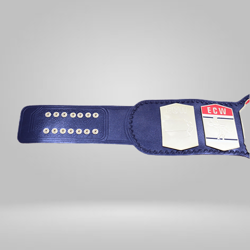 1st ECW Tag Team Wrestling Championship Replica Belt - image 2 | DASH RACEGEAR