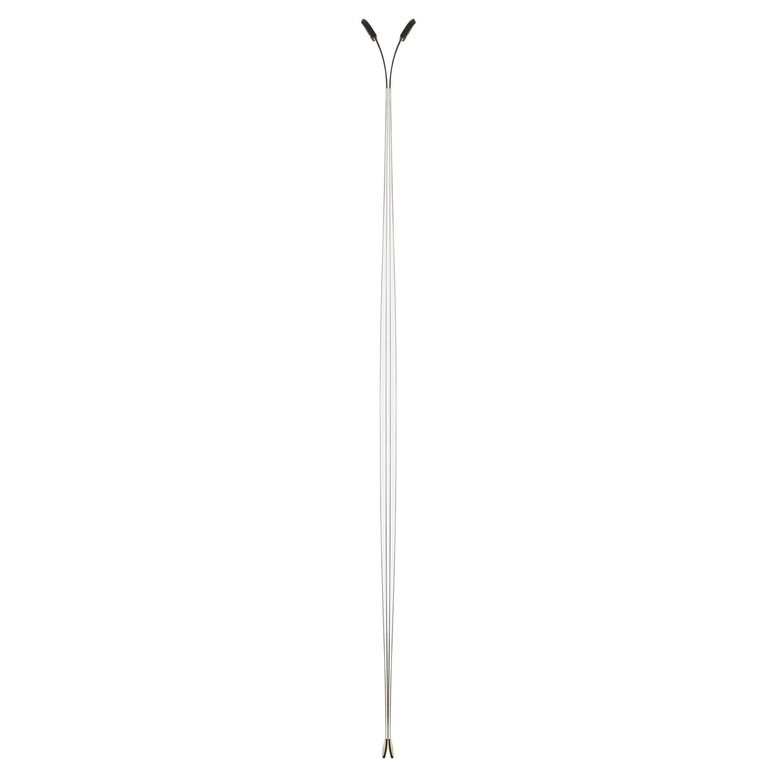 2027 Volkl Racetiger WC FIS SL Skis - image 6