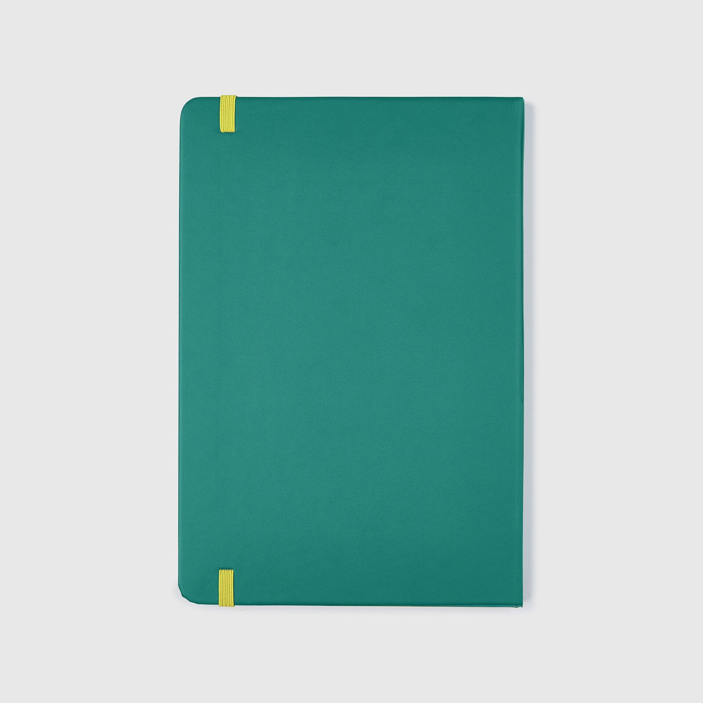 AMF1 FW LOGO NOTEBOOK - green