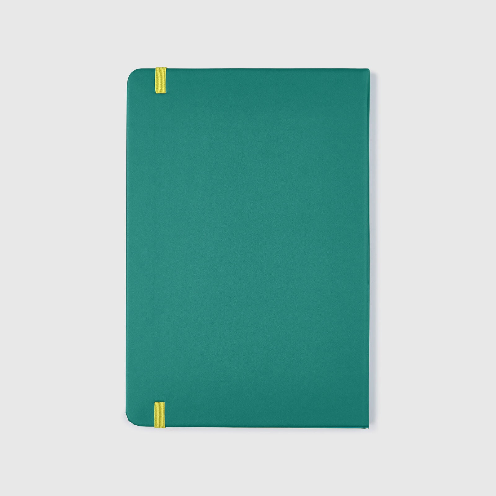AMF1 FW LOGO NOTEBOOK - green