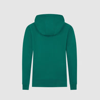 AMF1 FW KIDS LOGO HOODY - green