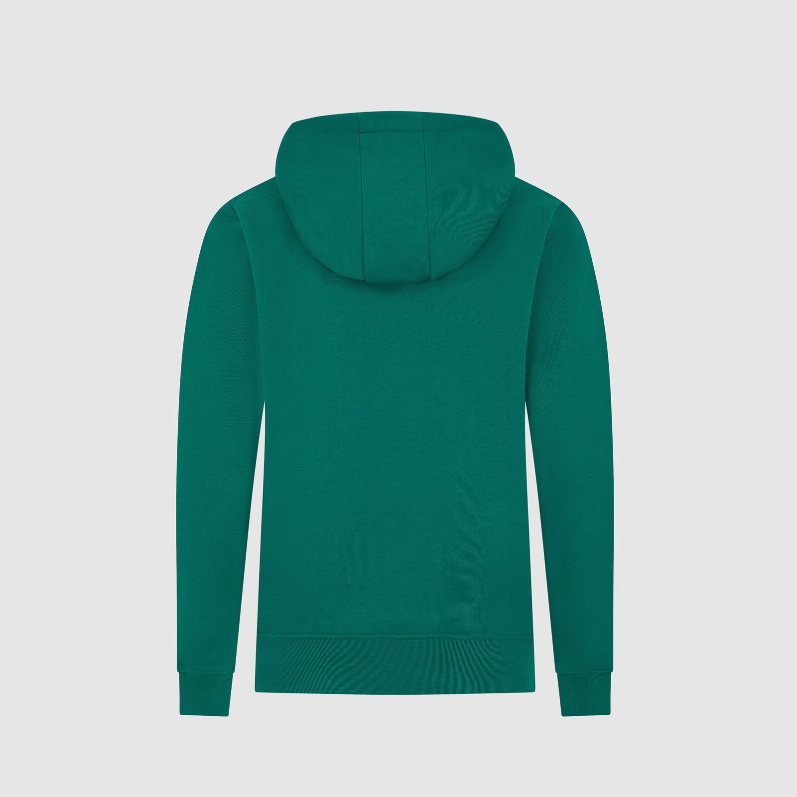 AMF1 FW KIDS LOGO HOODY - green