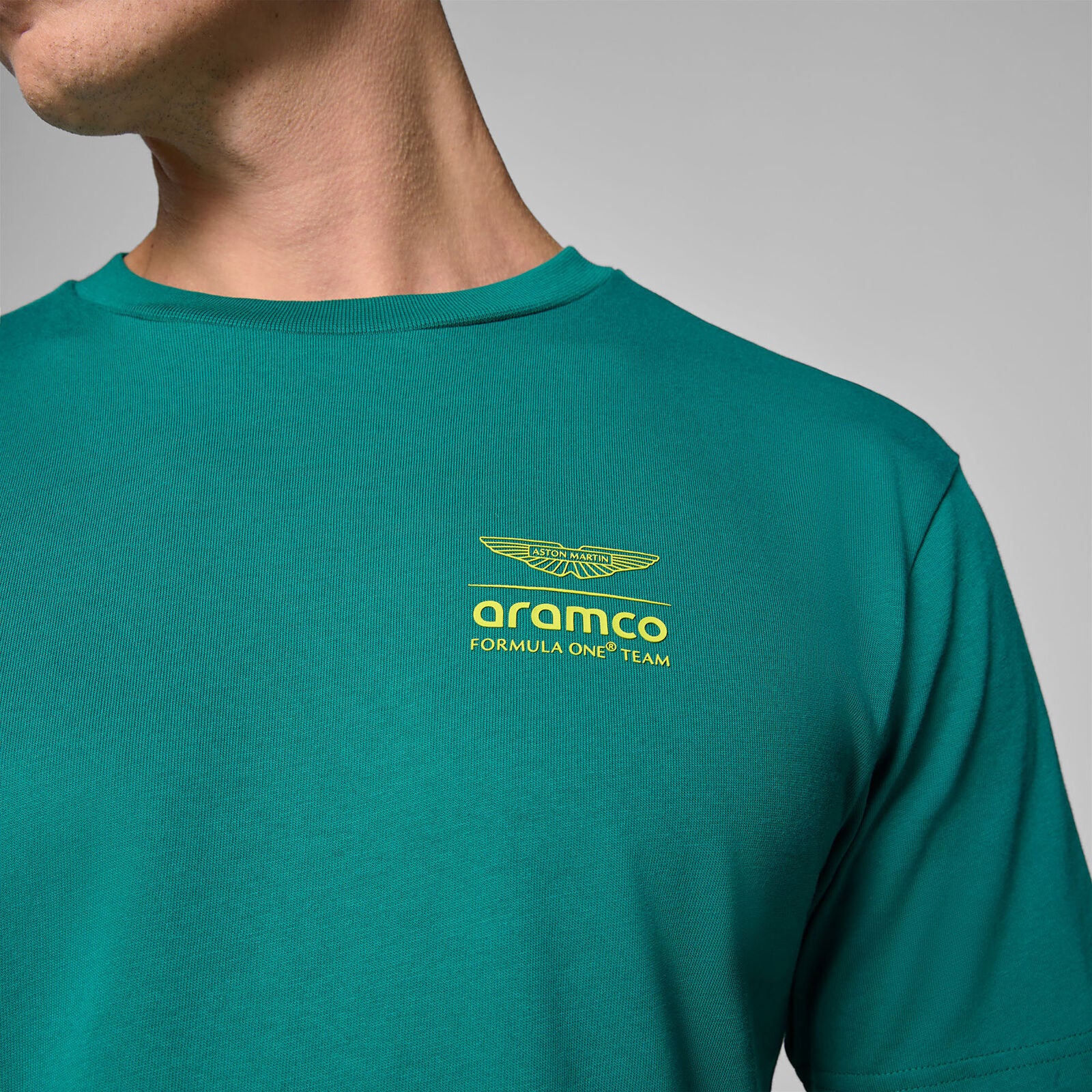 AMF1 FW MENS GRAPH GRAPHIC TEE - green