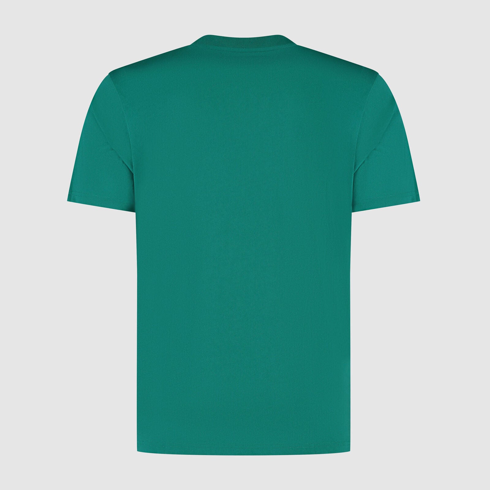 AMF1 FW MENS GRAPH GRAPHIC TEE - green