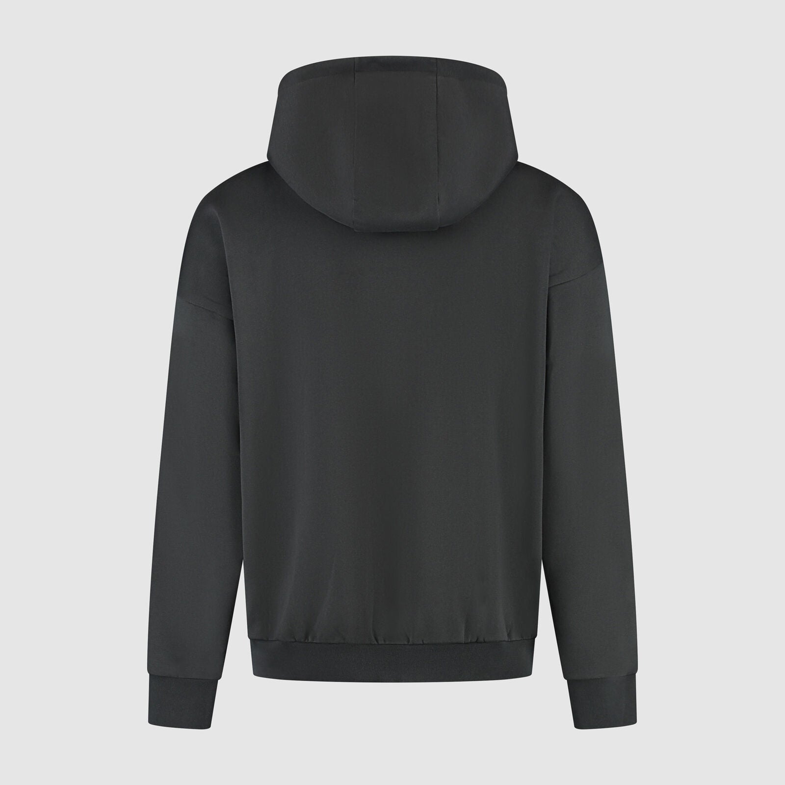 F1 FW HERITAGE GRAPHIC HOODY - black