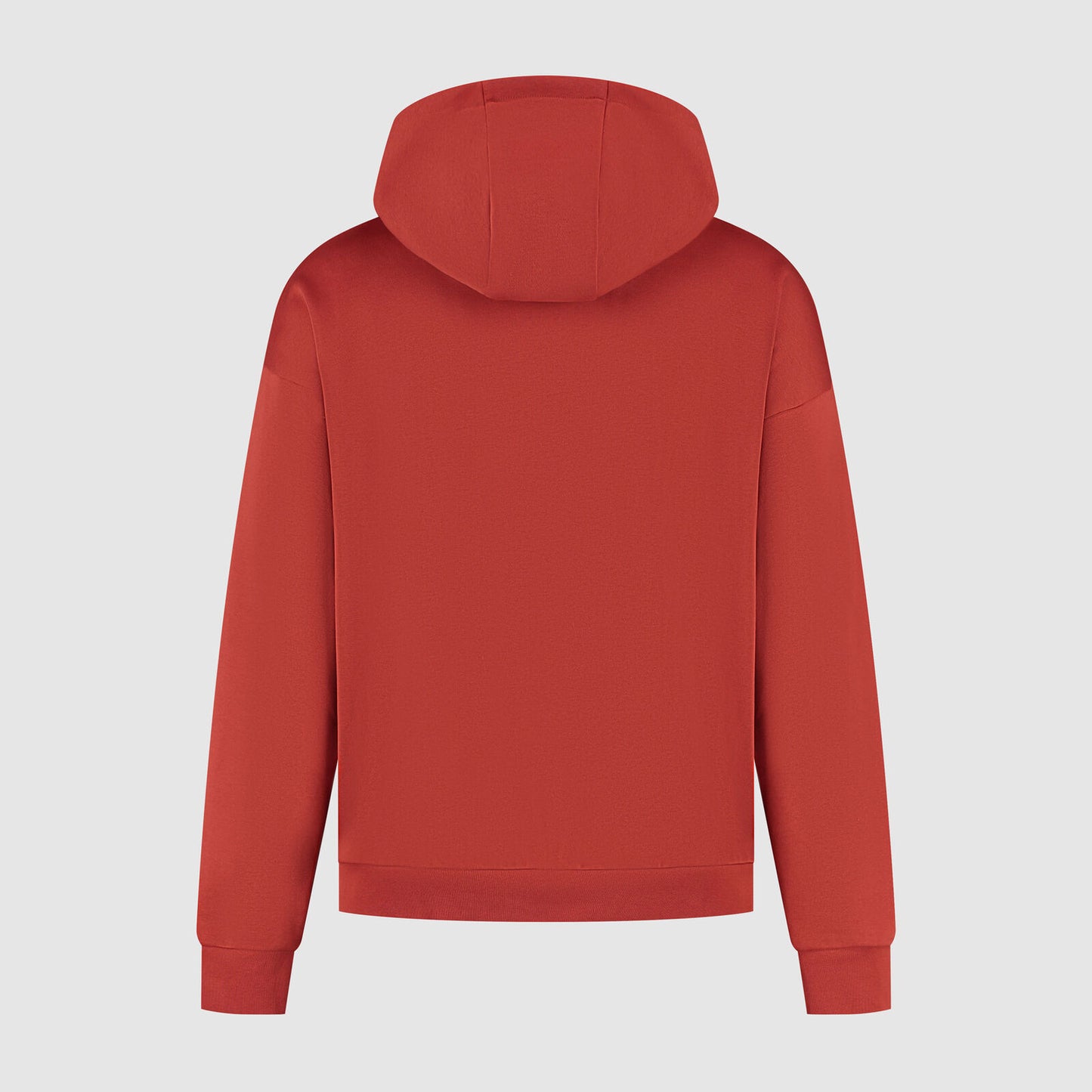F1 FW HERITAGE GRAPHIC HOODY - red