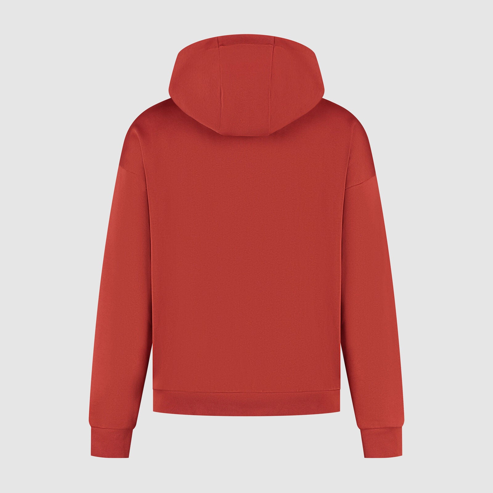 F1 FW HERITAGE GRAPHIC HOODY - red