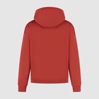 F1 FW HERITAGE GRAPHIC HOODY - red