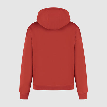 F1 FW HERITAGE GRAPHIC HOODY - red