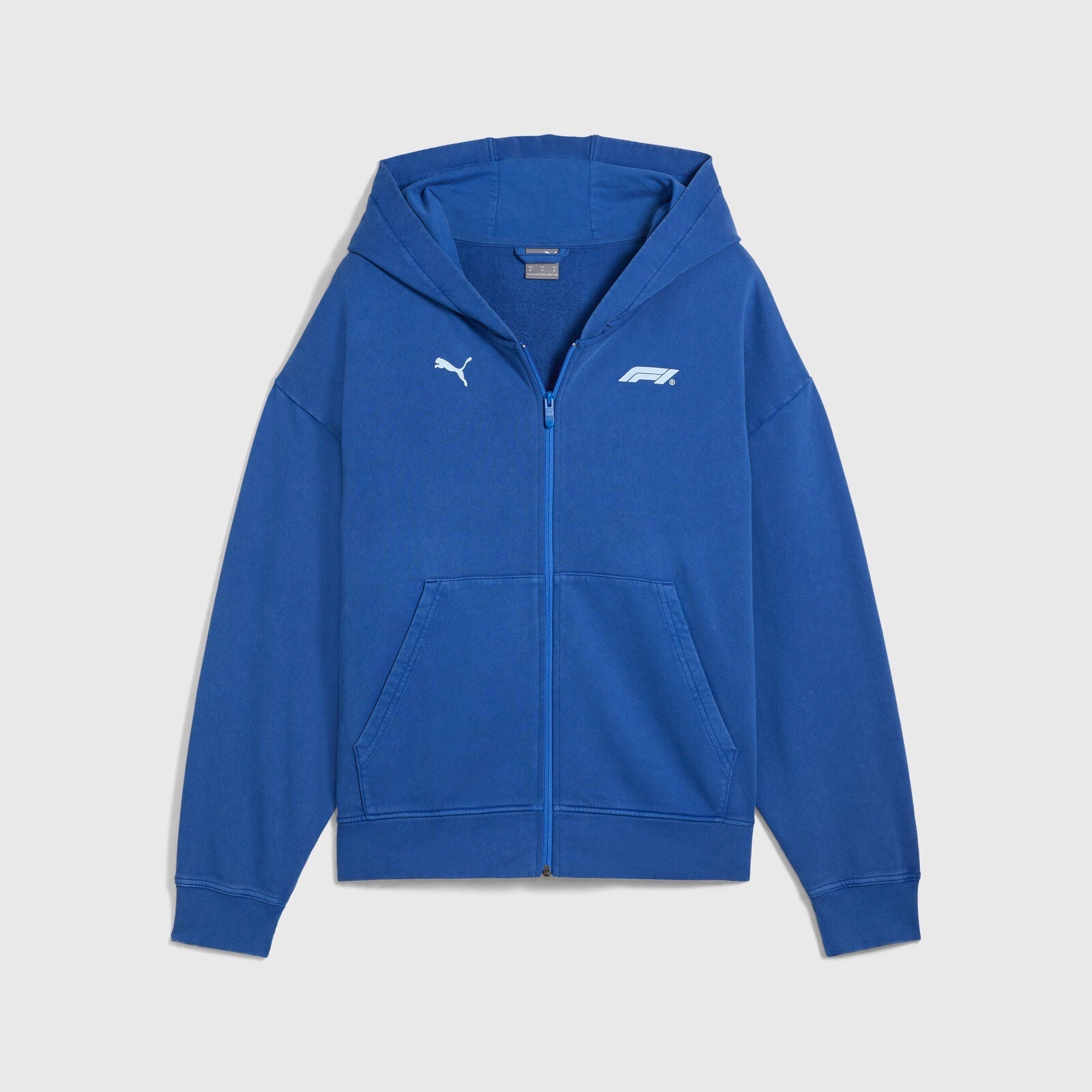 F1 LS GRAPHIC FULL ZIP HOODIE - blue