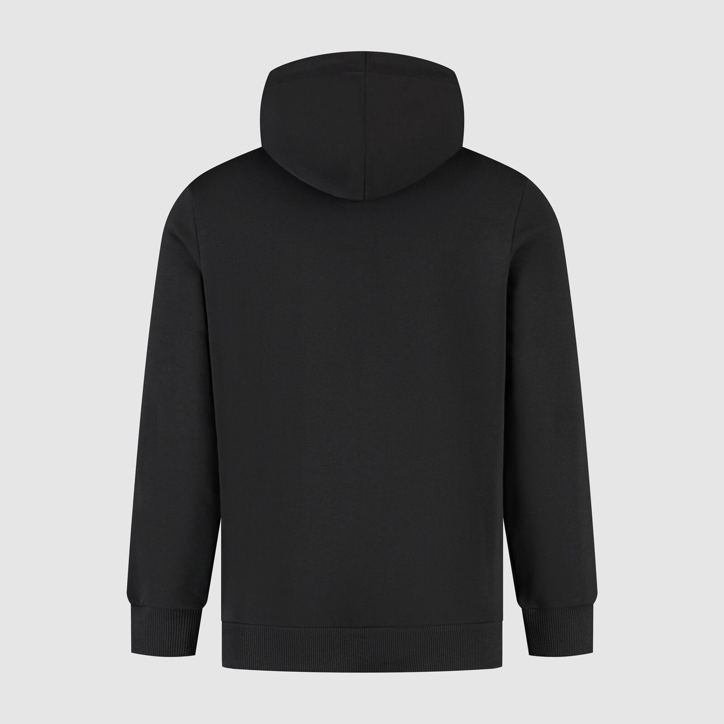 SF FW LARGE SHIELD HOODY - black