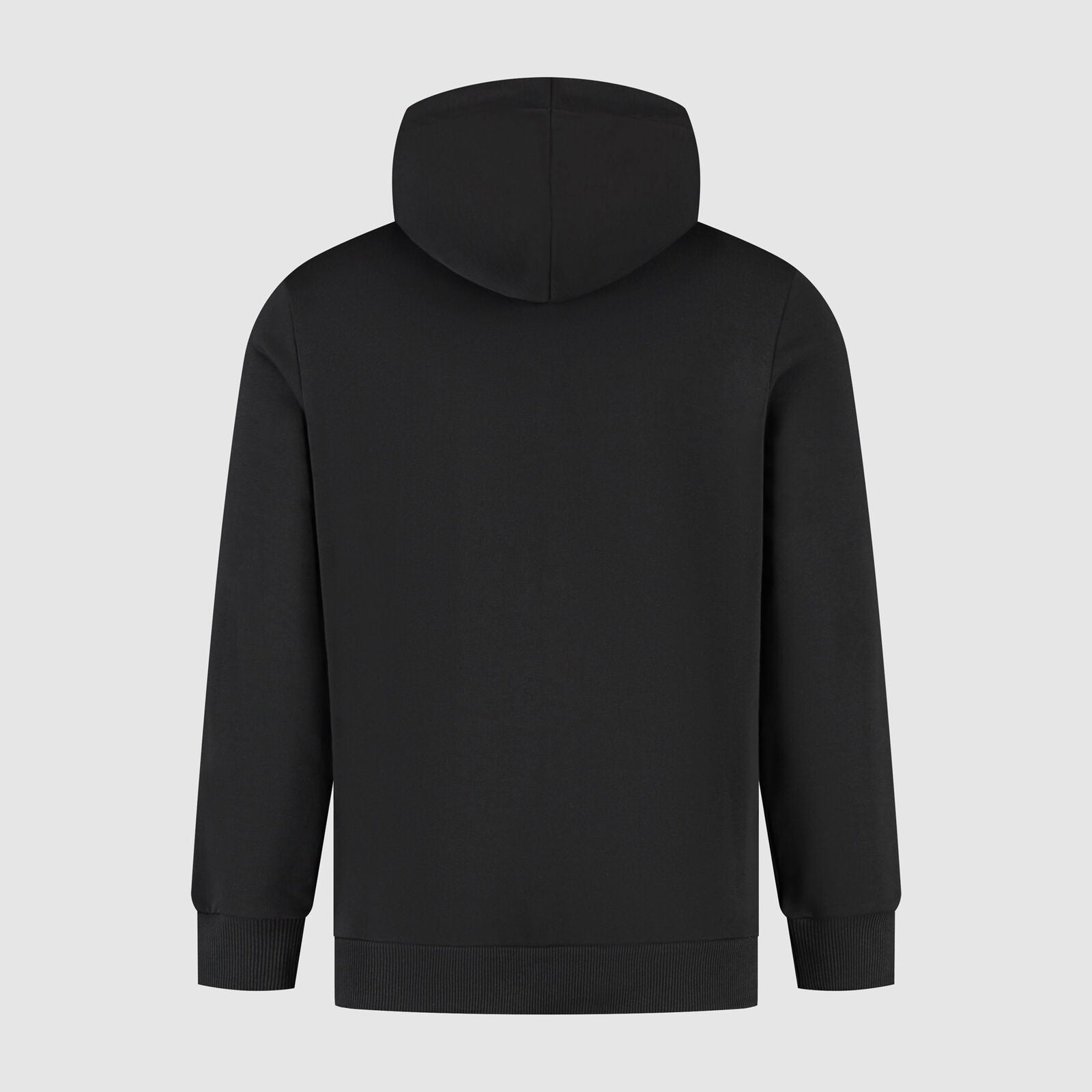 SF FW LARGE SHIELD HOODY - black