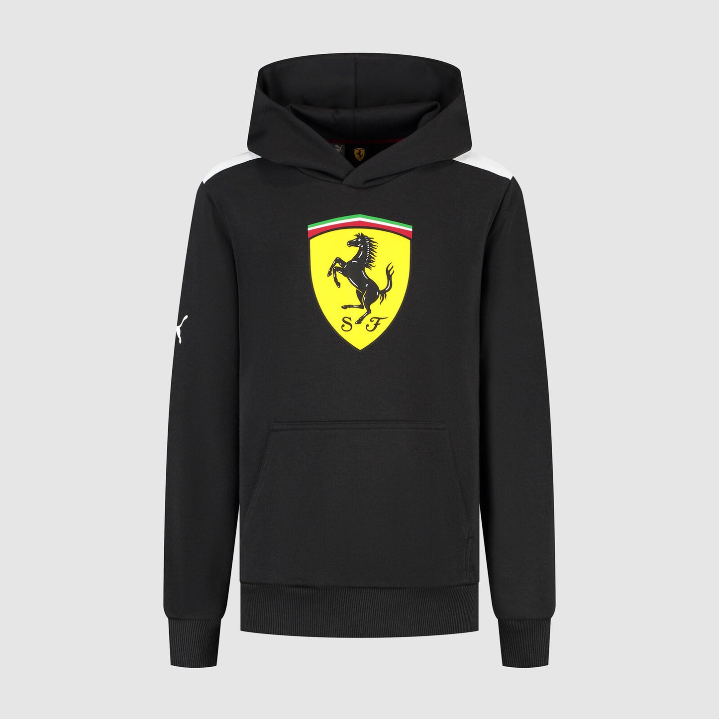 SF FW KIDS LARGE SHIELD HOODY - black