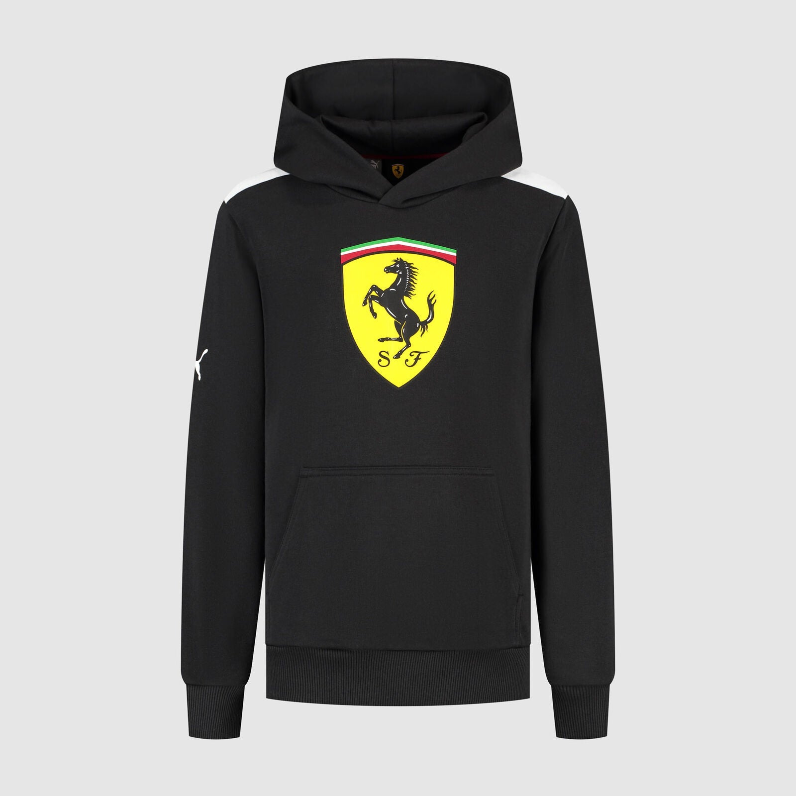 SF FW KIDS LARGE SHIELD HOODY - black