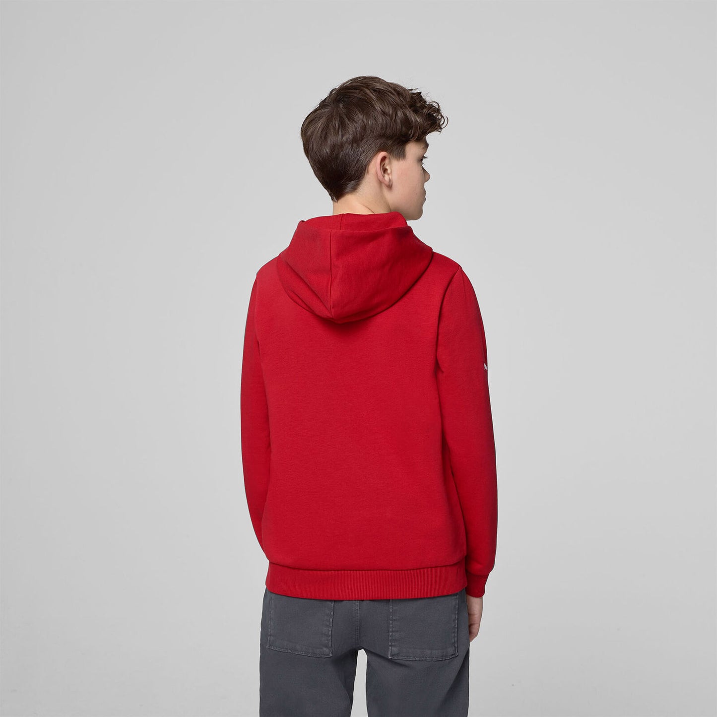 SF FW KIDS LARGE SHIELD HOODY - red