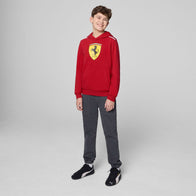 SF FW KIDS LARGE SHIELD HOODY - red