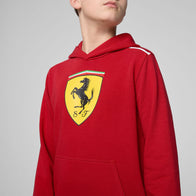 SF FW KIDS LARGE SHIELD HOODY - red