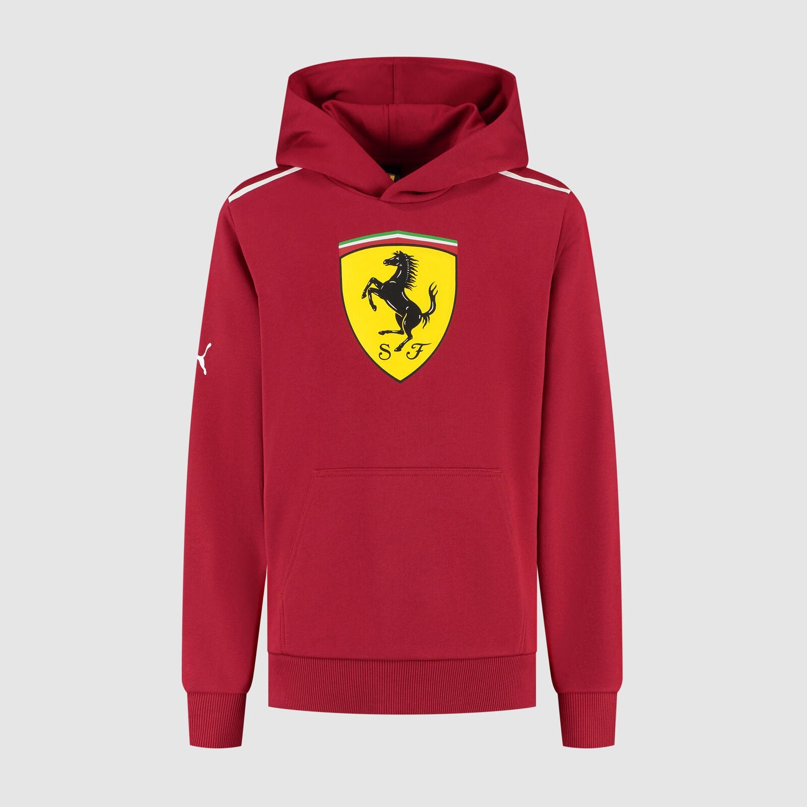 SF FW KIDS LARGE SHIELD HOODY - red