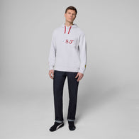 SF FW GRAPHIC HOODY - grey