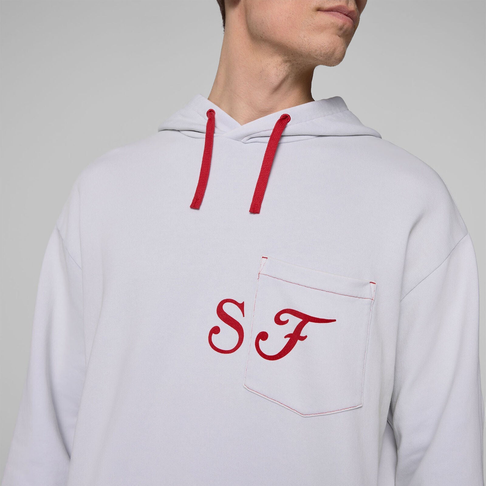 SF FW GRAPHIC HOODY - grey