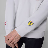 SF FW GRAPHIC HOODY - grey