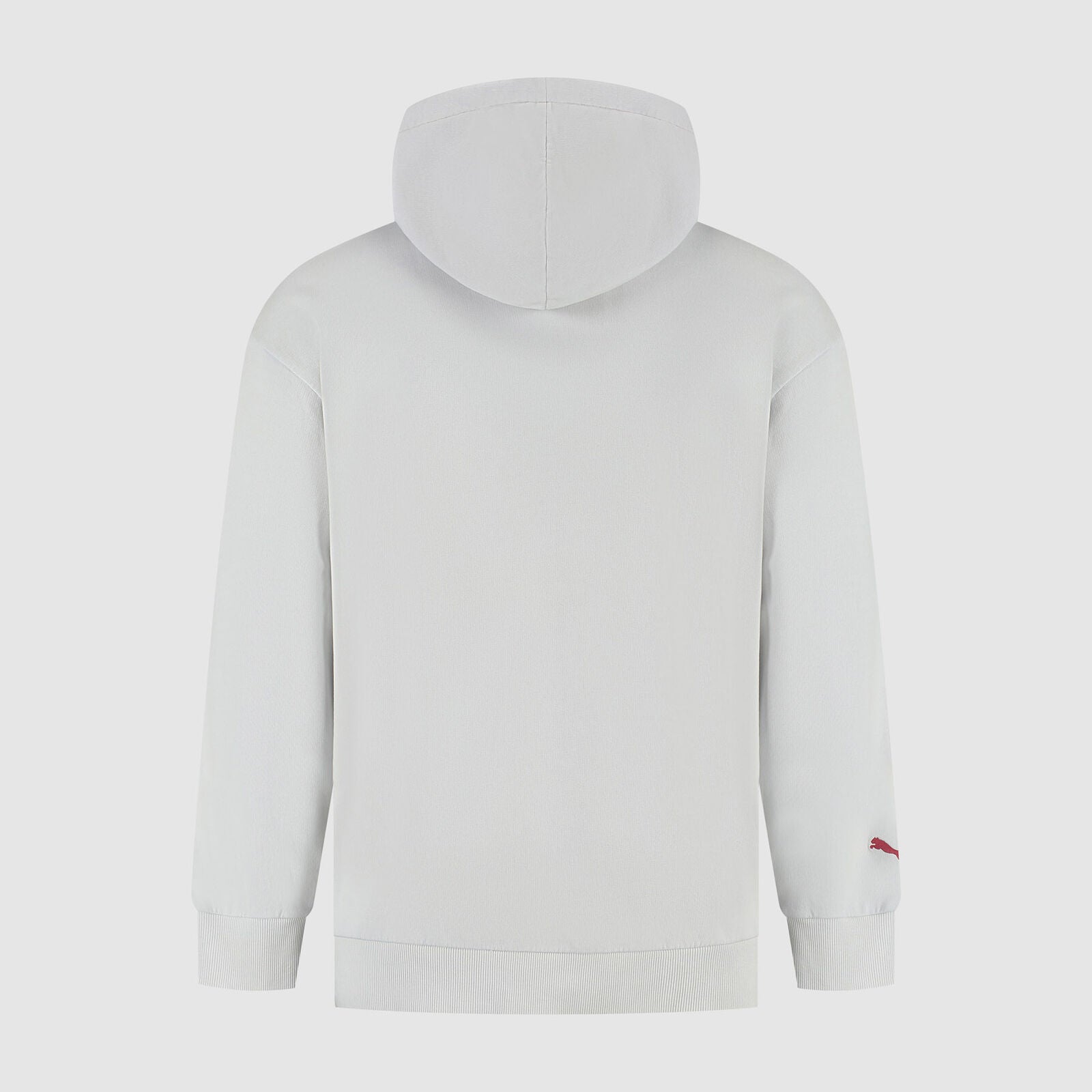 SF FW GRAPHIC HOODY - grey