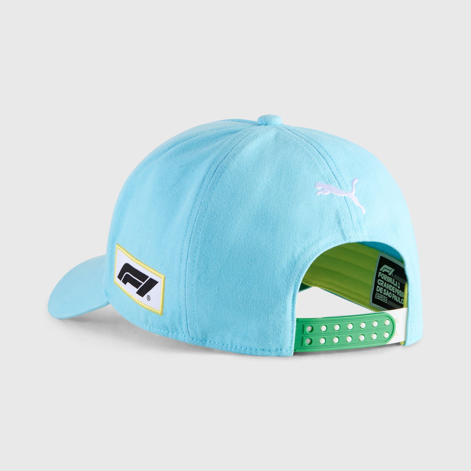 F1 FW SE BRAZIL CAP - blue