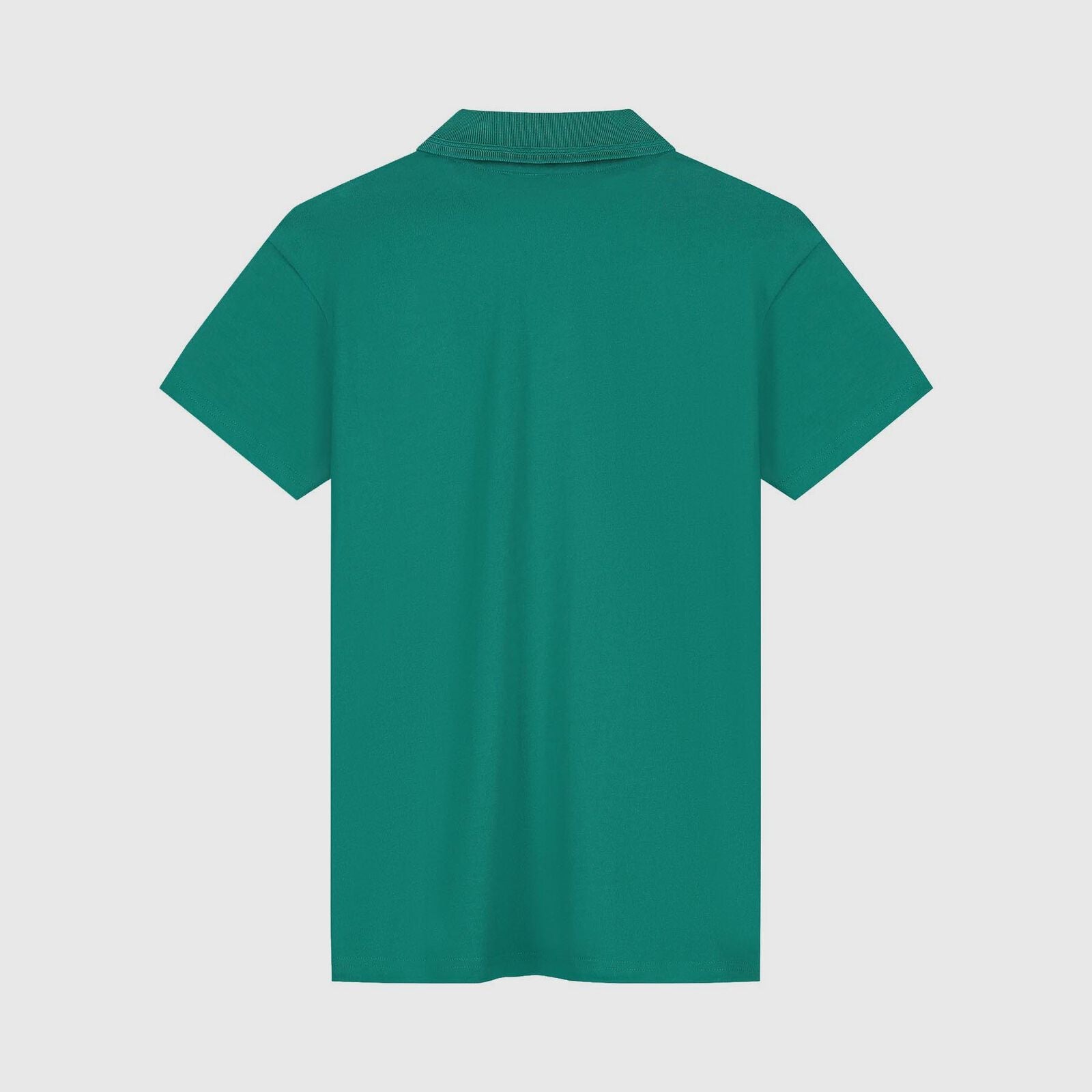 AMF1 FW SEASONAL POLO - AM Green