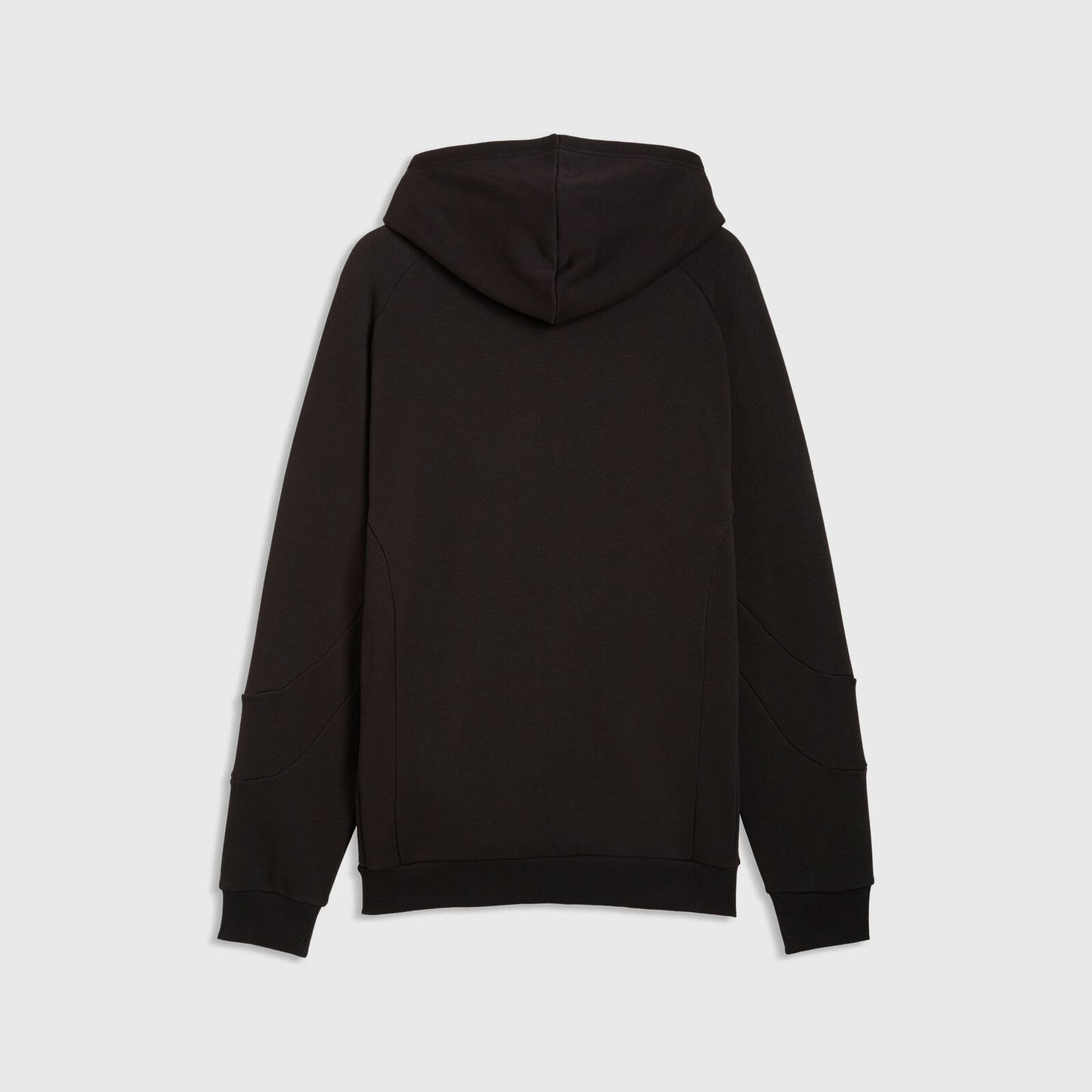 BMW LS Pumatech Hoodie - hi-res
